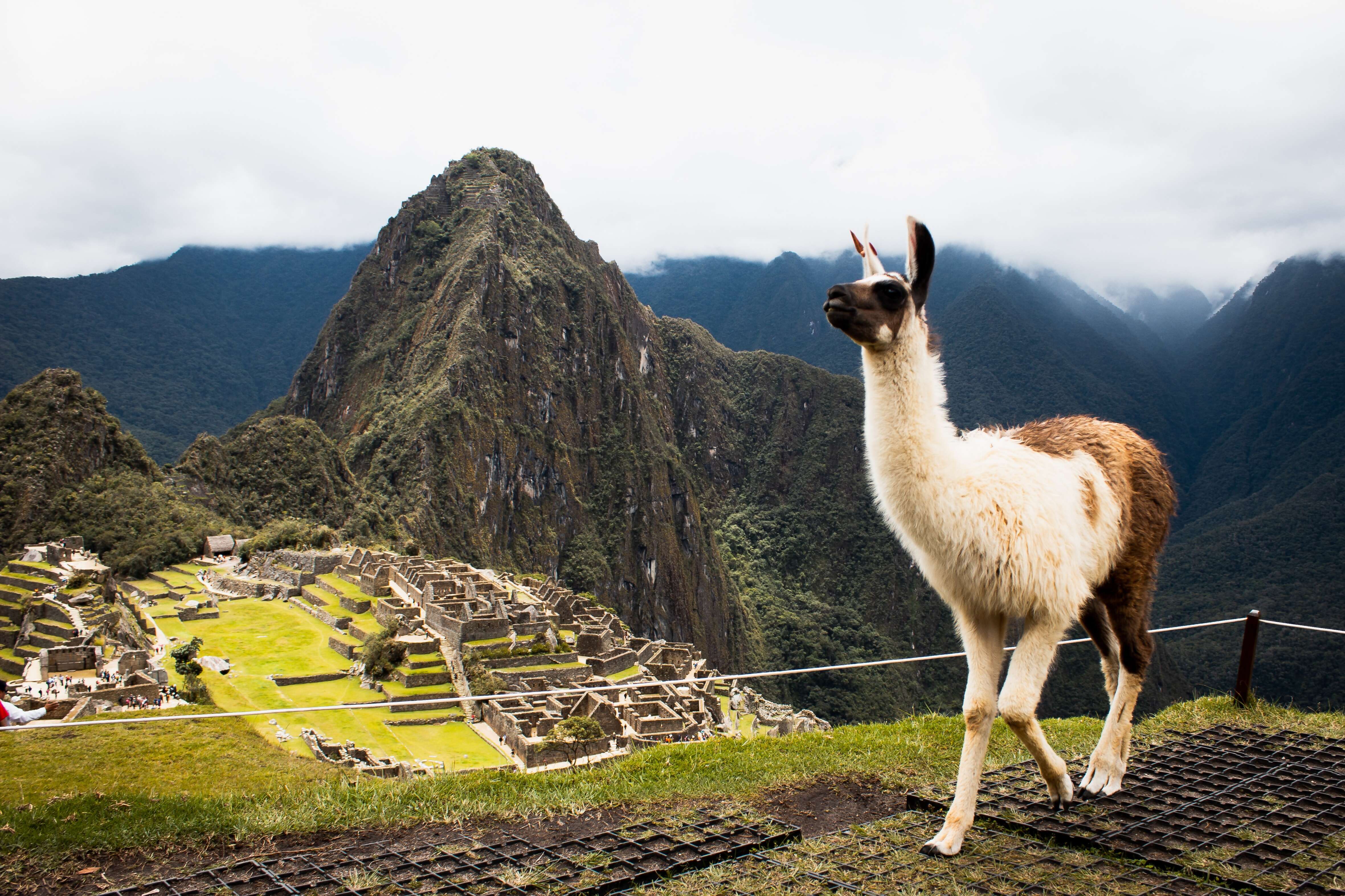 Peru: Machu Picchu and Lake Titicaca