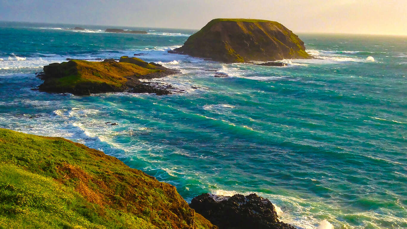 The Complete South Pacific