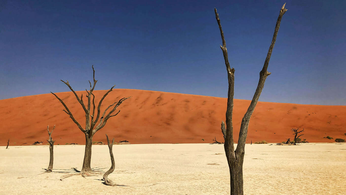 Namibia & South Africa: Epic Landscapes & Wildlife