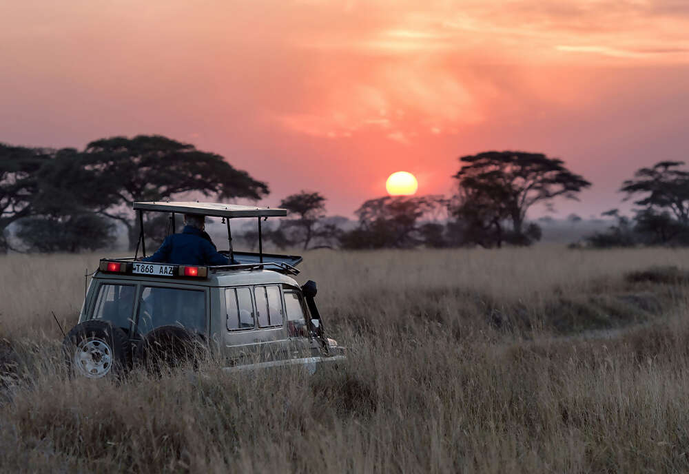 Exploring South Africa, Victoria Falls, and Botswana