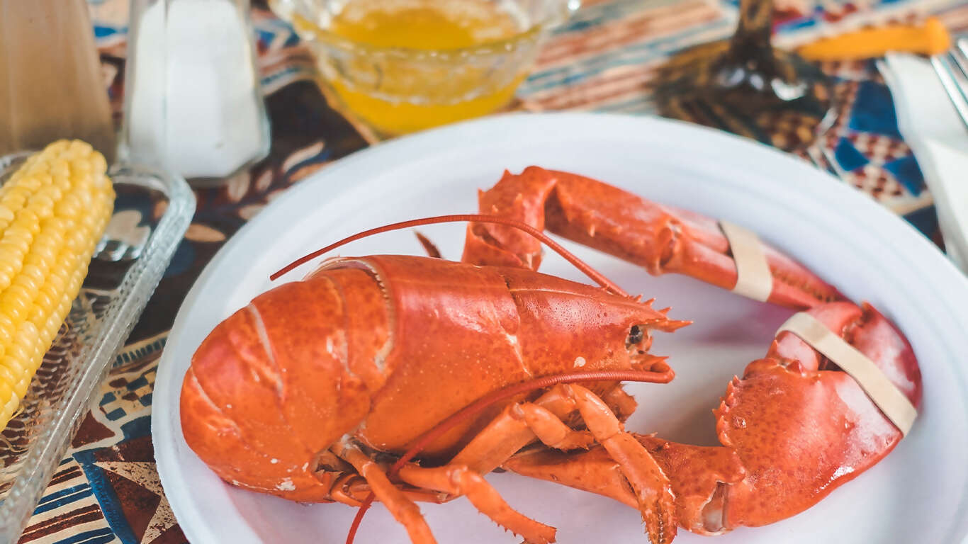 Colors of New England