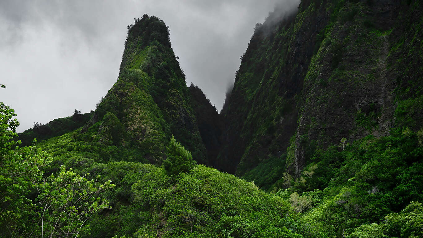 Aloha Hawaii Discovering Kauai and Maui