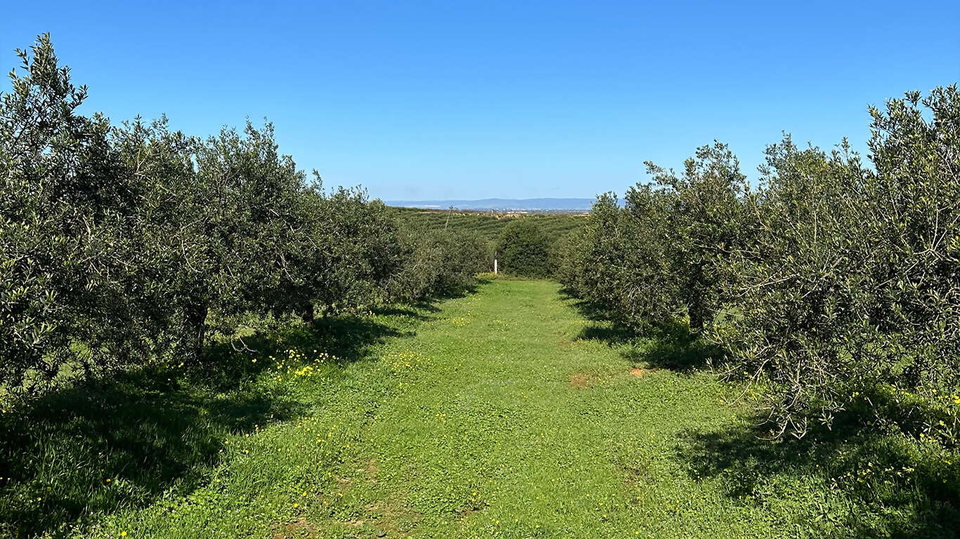 Journey through Spain: Madrid to Barcelona