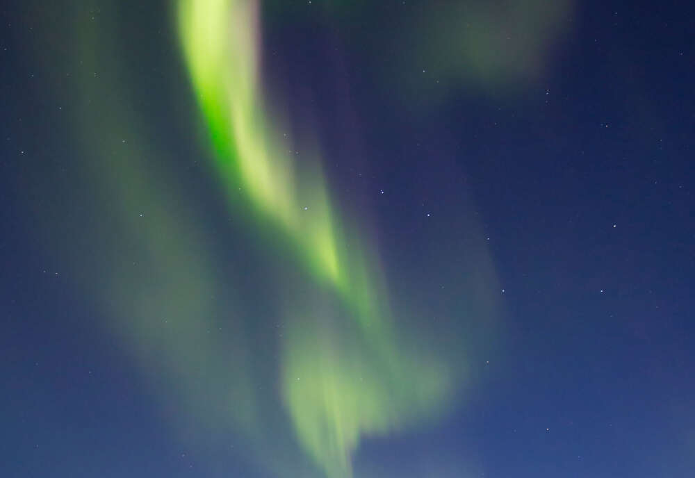 Alaska's Northern Lights featuring the Alaska Wildlife Conservation Center