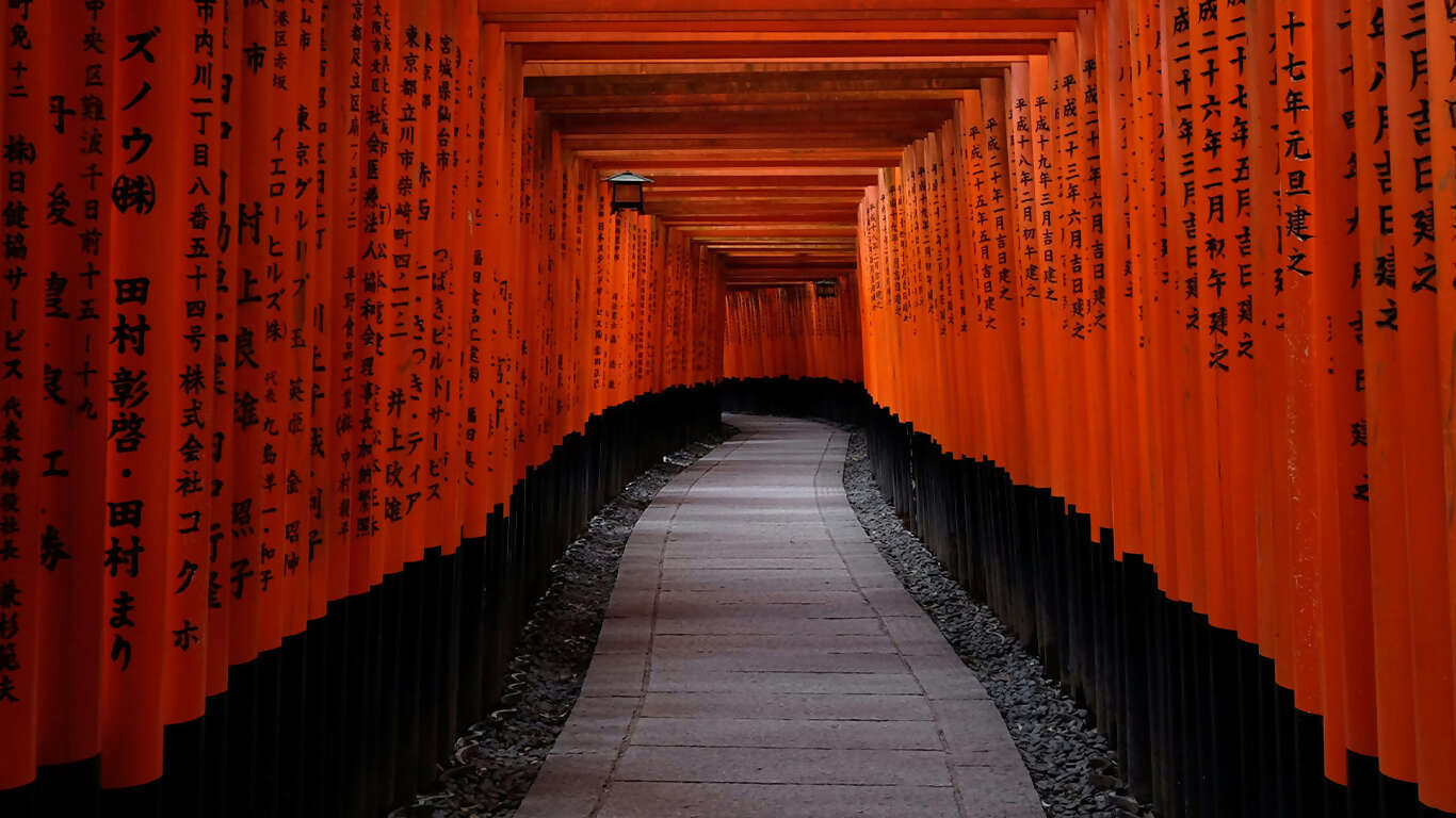 Journey Through the Heart of Japan Tokyo to Osaka